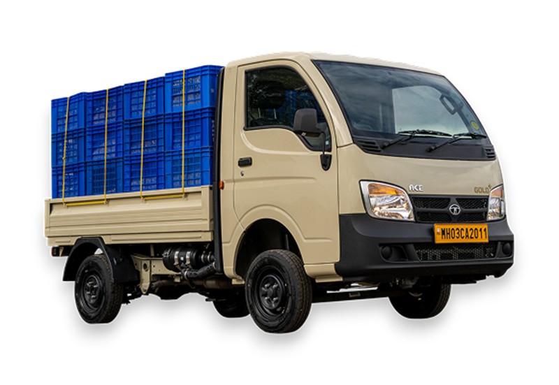 Free website template